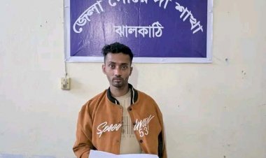 রাজাপুরে ডিবি পুলিশের অভিযানে ইয়াবাসহ যুবক গ্রেপ্তার