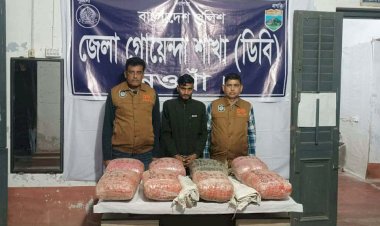 নওগাঁয় মাদক বিরোধী অভিযানে বিপুল পরিমাণ গাঁজাসহ  এক জন আটক!