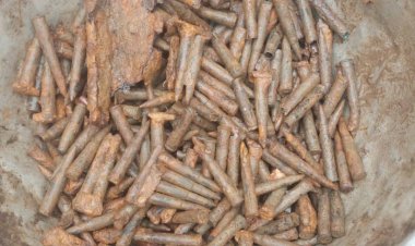 নওগাঁর বদলগাছী উপজেলাধীন দেউলিয়া গ্রামে মাটির নিচে মিলল ৩২৫ রাউন্ড রাইফেলের গুলি