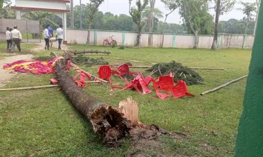 বুড়িচংয়ে এসএসসি পরীক্ষার্থীদের বিদায় অনুষ্ঠানে গাছ উপড়ে ৩ শিক্ষার্থী আহত