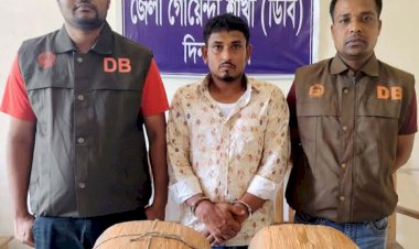 “দিনাজপুর জেলা গোয়েন্দা শাখা (ডিবি) কর্তৃক ১০ কেজি গাঁজাসহ ১ জন গ্রেফতার”