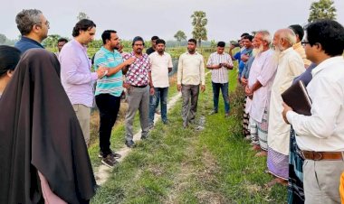 বগুড়ায় টিএমএসএসের পেইস প্রকল্প পরিদর্শনে ইফাদ-পিকেএসএফ প্রতিনিধি দল : নিরাপদ সবজি উৎপাদনে কৃষকের আয় ও পুষ্টি উন্নয়নে সন্তোষ প্রকাশ