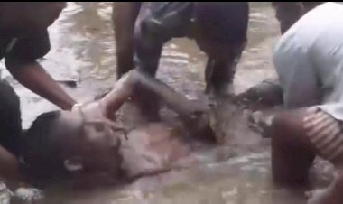 নাইক্ষ্যংছড়ির বাইশারীতে এক বৃদ্ধের মরদেহ উদ্ধার!