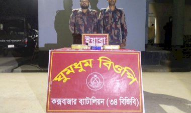ঘুমধুম সীমান্তে বিজিবির অভিযানে ৩০ হাজার পিস ইয়াবা উদ্ধার!