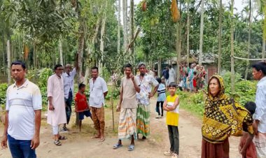 পীরগাছায় বসতবাড়ীতে হামলার অভিযোগ