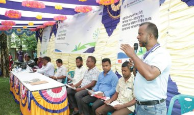 বিশ্ব পরিবেশ দিবস উপলক্ষে ধামইরহাটে র‍্যালি, আলোচনা সভা ও বৃক্ষরোপণ কর্মসূচি