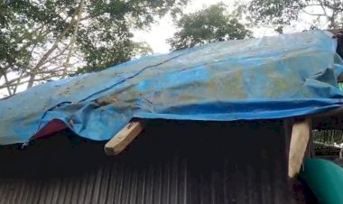 ঘরের অভাবে পলিথিনের ছাউনিতে মানবেতর জীবন, সরকারের সহায়তা চান দেলোয়ার হাওলাদার
