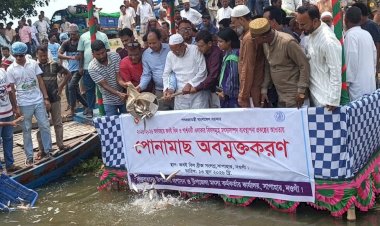 নওগাঁর সাপাহার জবই বিলে ২১৫০ কেজি মাছের পোনা অবমুক্ত করেন এমপি মোস্তাফিজুর রহমান