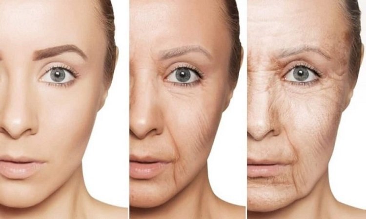 প্রতিটি ঋতুতে আবহাওয়ার যে পরিবর্তন হয়