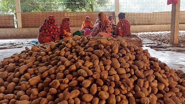 দেশে আলু সংরক্ষণে পর্যাপ্ত ব্যবস্থা না থাকায়, কৃষকেরা তাঁদের উৎপাদিত আলুর ন্যায্যমূল্য পান না।