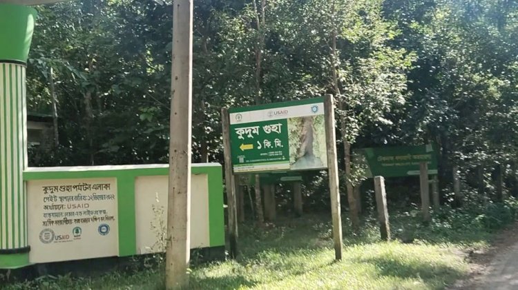 টেকনাফের হোয়াইক্যং- শামলাপুর সড়কে ডাকাতি,৪ যাত্রী অপহরণ