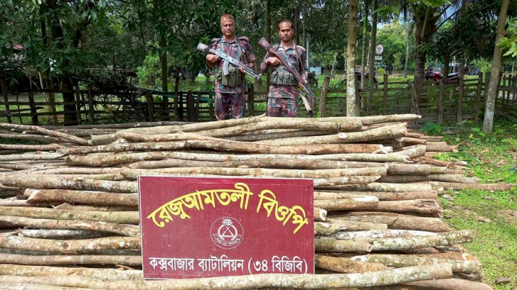 নাইক্ষ‍্যংছড়ির রেজুতে বিজিবির অভিযানে ৯০টি বল্লি কাঠ জব্দ!