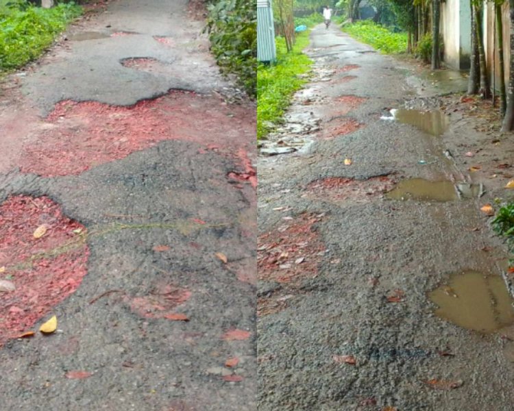 নরসিংদীর মনোহরদীতে আঞ্চলিক পাকা রাস্তাগুলোর বেহাল দশা,সংস্কারের দাবী এলাকাবাসীর