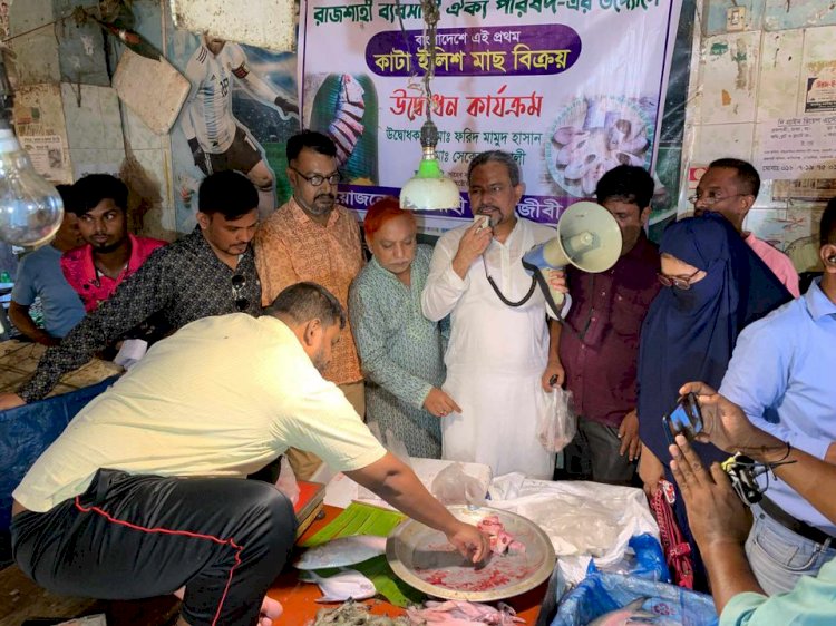 রাজশাহী নগরীত আনুষ্ঠানিক ভাবে ইলিশ মাছ কেটে বিক্রির উদ্বোধন