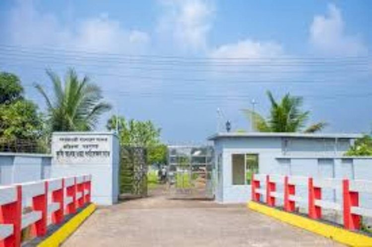 নওগাঁর বদলগাছীতে সূর্য বিমুখ দুই দিন:বিপাকে নিন্ম আয়ের মানুষ