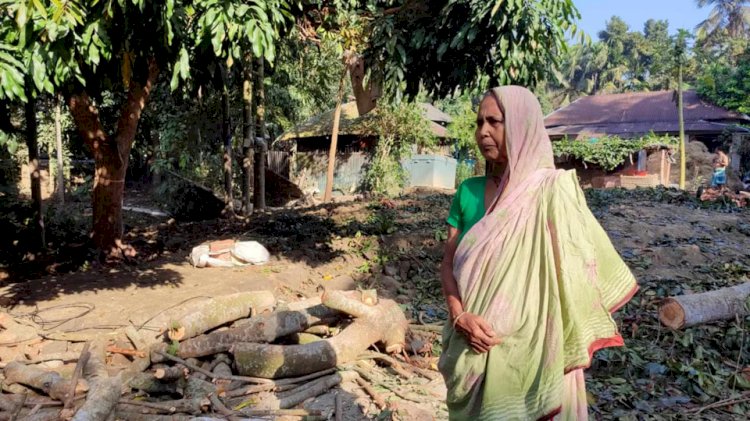 নড়াইলে বৃদ্ধা শুভা রাণী বিশ্বাস'র জমি দখল ও ঘরবাড়ি ভাঙচুর থানায়  অভিযোগ