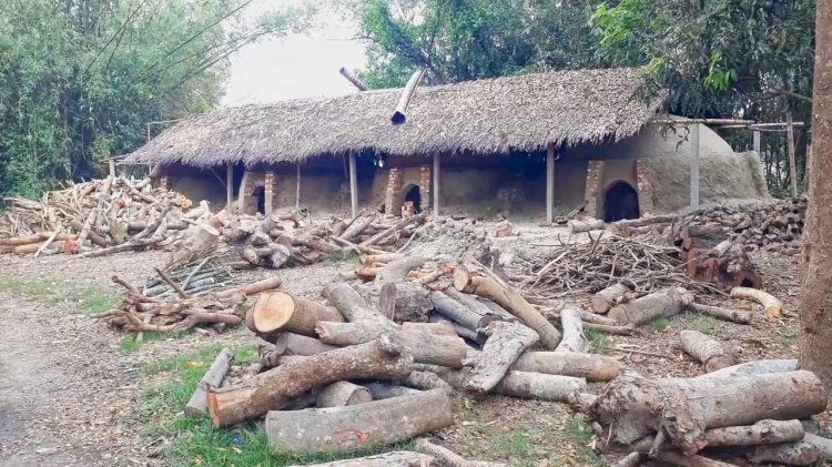 নড়াইলের চন্ডিবরপুর ইউনিয়নের কয়েকটি গ্রামে গড়ে উঠেছে কাঠ পুড়িয়ে কয়লার ভাটা