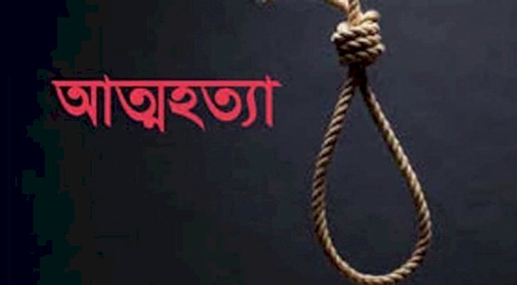 মনোহরদীতে গলায় ওড়না পেঁচিয়ে দুই সন্তানের জননীর আত্মহত্যা