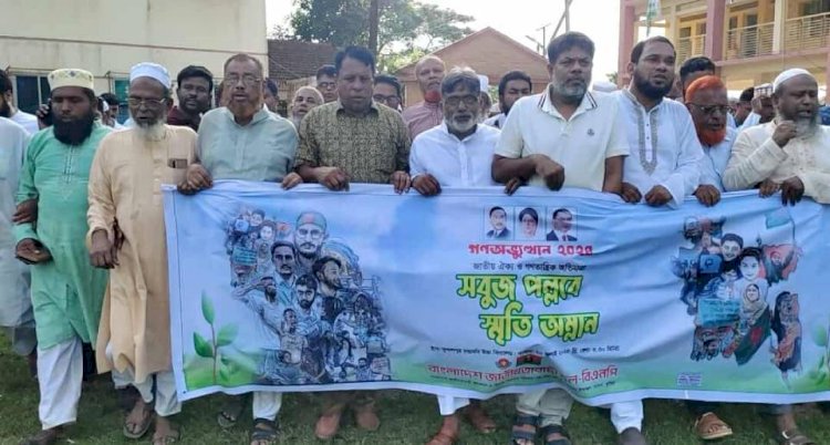 হোমনায় গনঅভ্যুত্থান-২৪ স্মৃতি ধারণে বিএনপির বৃক্ষরোপন কর্মসূচি পালিত