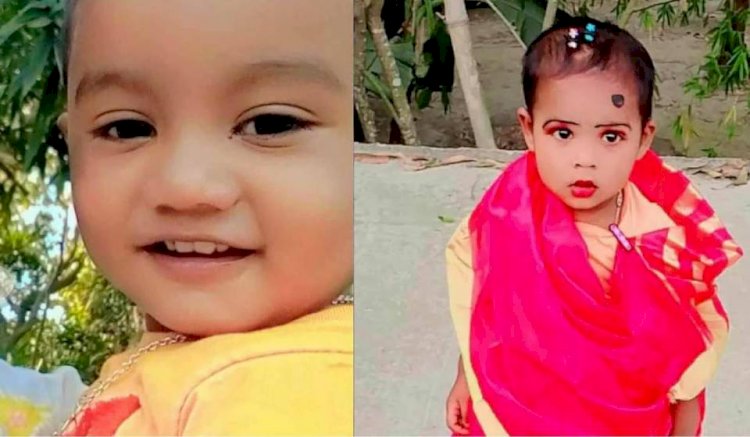 নরসিংদীর শিবপুরে ডোবার পানিতে পড়ে  দুই শিশুর অকাল মৃত্যু