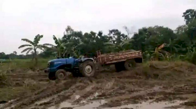 পাঙ্গা নিও না, সমস্যা আছে