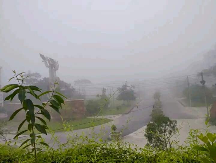 কুয়াশায় মোড়া পাবিপ্রবি: শীতের আগমনী হাওয়া