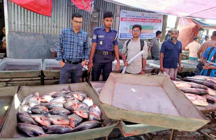 বুড়িচংয়ে নিষিদ্ধ পিরানহা বিক্রিতে জরিমানা; ৫০ কেজি মাছ এতিমখানায় বিতরণ