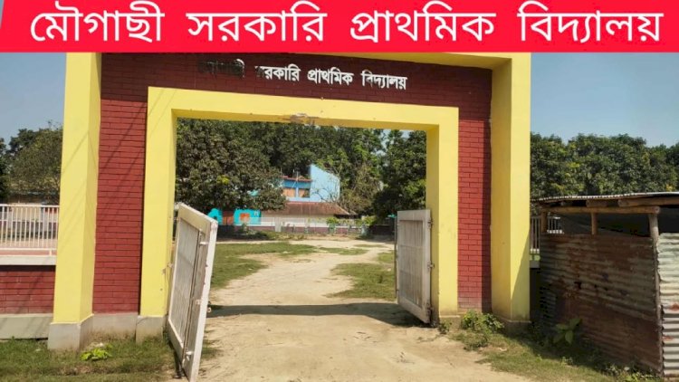 রাজশাহী মোহনপুর উপজেলার মৌগাছি সরকারি প্রাথমিক বিদ্যালয়ে দুর্নীতি ও নিম্নমানের কাজ — এলাকাবাসীর ক্ষোভ চরমে