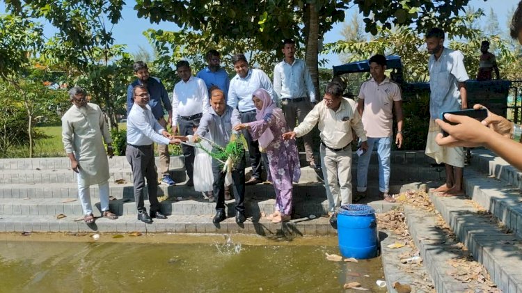পাবিপ্রবির লেকে ১৩৫ কেজি মাছের পোনা অবমুক্ত