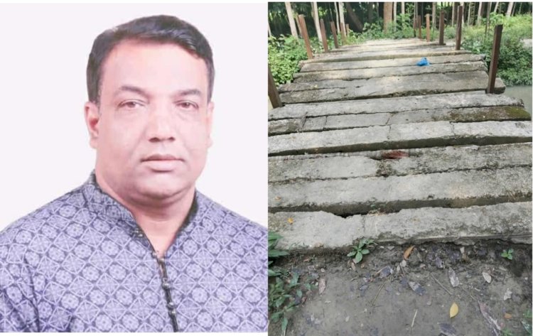 রাজাপুরে জনদুর্ভোগ: জীবনের ঝুঁকি নিয়ে ব্রিজ ব্যবহার; কবে মিলবে মুক্তি?