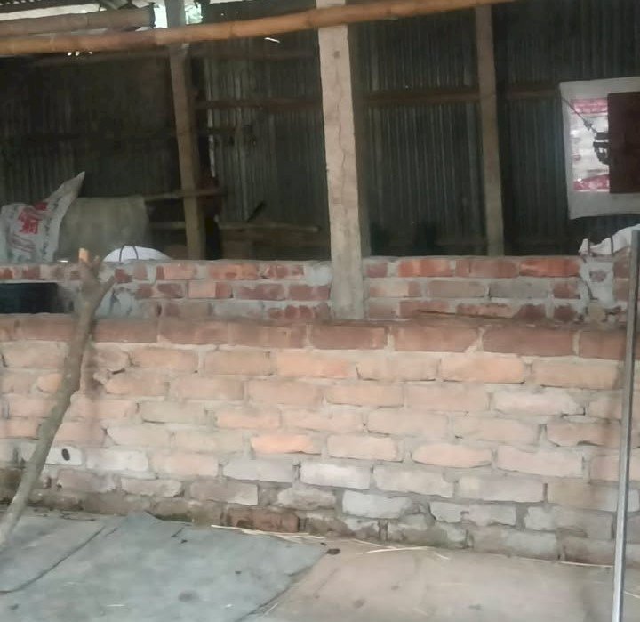 নরসিংদীর শিবপুরে ৪টি গরু ডাকাতি