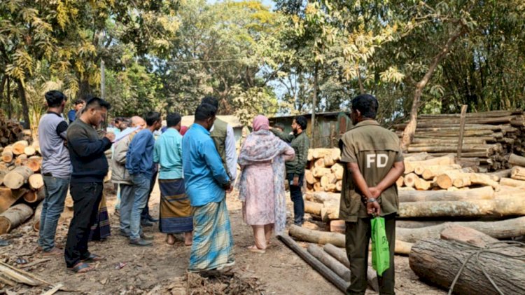 নাইক্ষ্যংছড়িতে অবৈধ করাতকলের ৭মালিকে ভ্রাম্যমাণ আদালত জরিমানা!