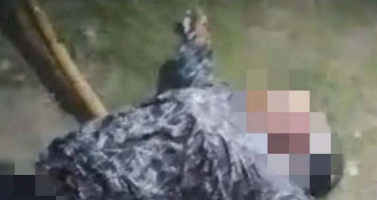 নড়াইলের মধুমতি নদী থেকে অজ্ঞাত নারীর মরদেহ উদ্ধার করছে নৌ-পুলিশ