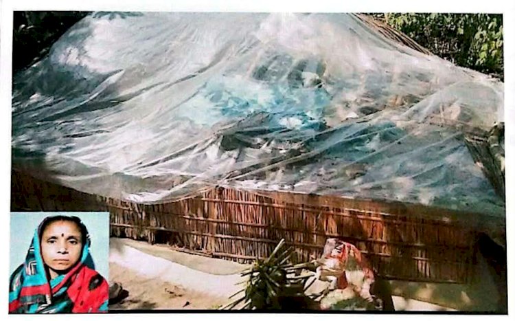 ঝড়ের আঘাতে ভেঙে গেছে স্বপ্ন, পলিথিনের ঘরে সন্তানদের নিয়ে শিপ্রা রানীর মানবেতর জীবন