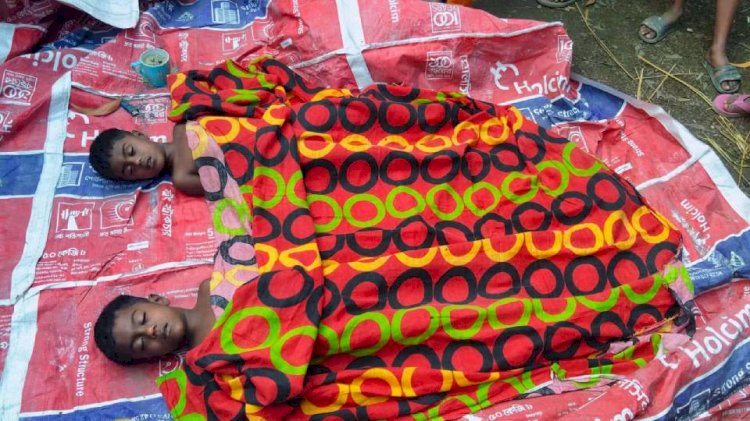 কুমিল্লায় নানা বাড়িতে পানিতে ডুবে দুই সহোদরের  করুন মৃত্যু