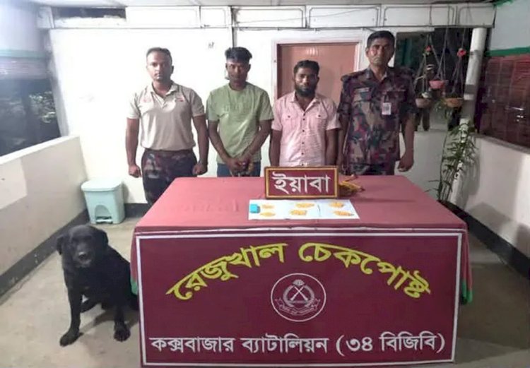নাইক্ষ্যংছড়ি সীমান্তে ডগস্কোয়াডের সহায়তায় বিজিবি সদস্যদের অভিযানে ৩ পাচারকারীসহ ইয়াবা জব্দ