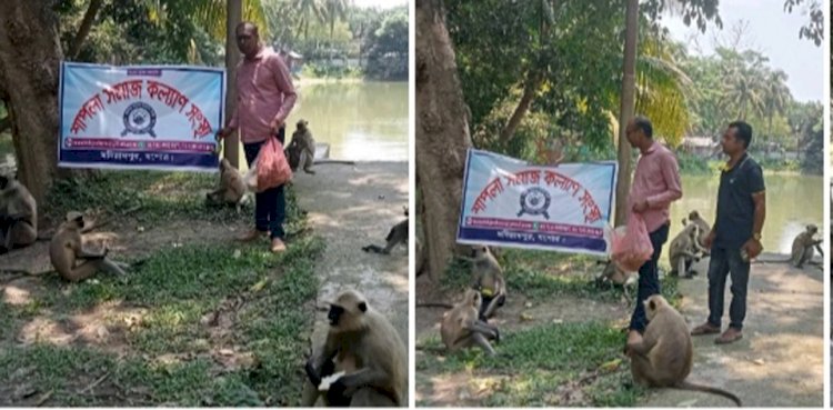 ক্ষুধার্ত হনুমানের মুখে খাবার তুলে দিলেন  শাপলা সমাজ কল্যাণ সংস্থার নেতৃবৃন্দ