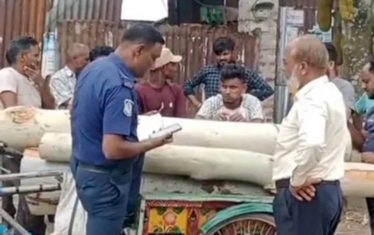 সাঘাটায় সরকারি গাছ কাটার অভিযোগে থানায় এজাহার, অভিযুক্ত দুই ব্যক্তি